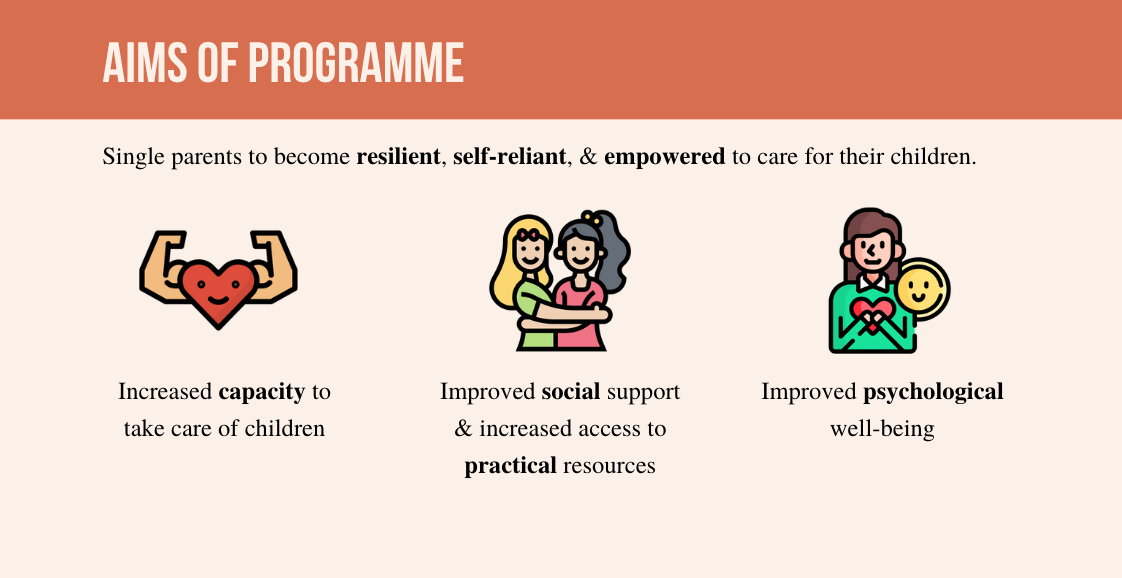 Aims of Programme